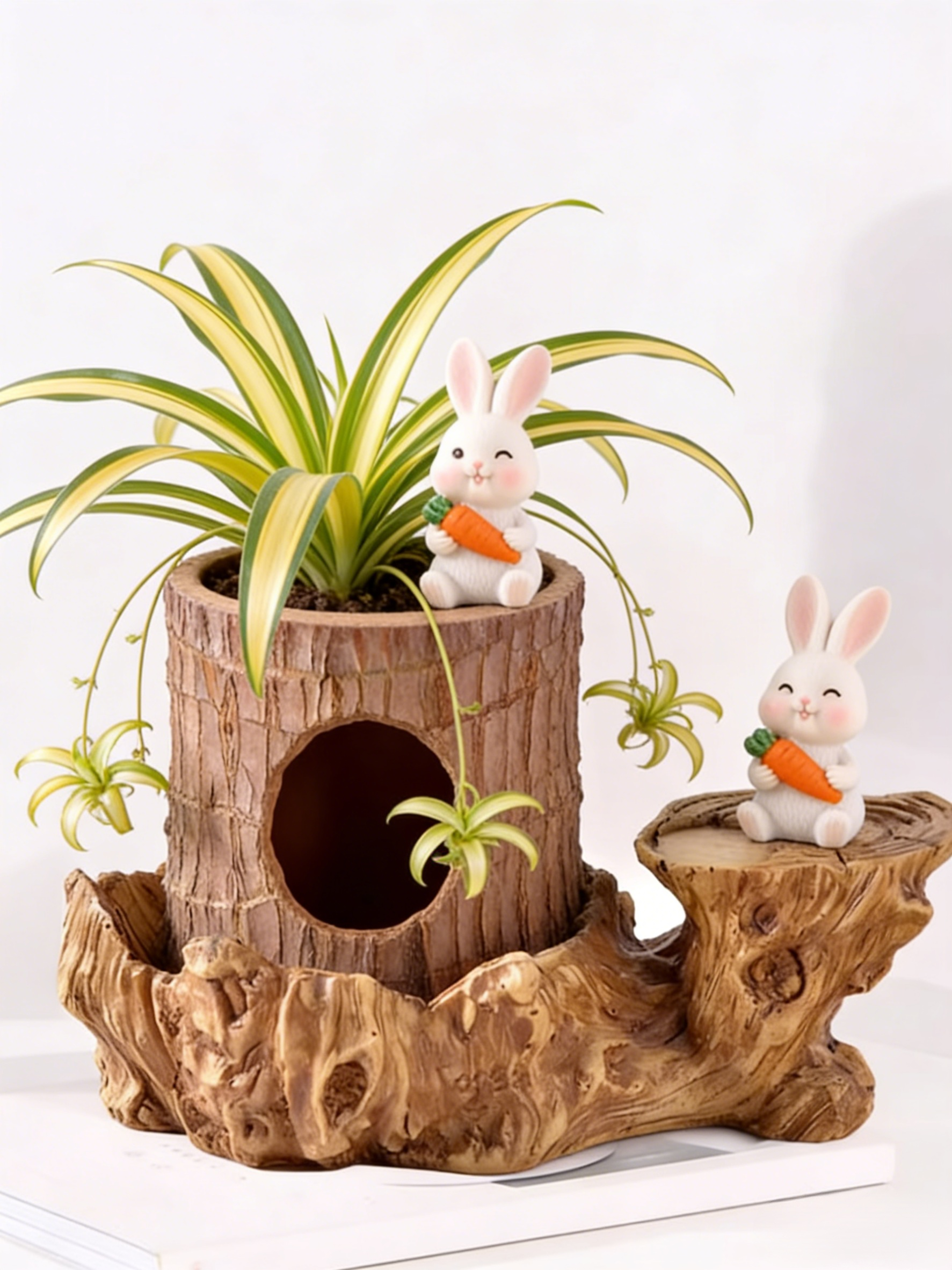 【Voda znamená život】Čtyřsezónní kvetoucí hydroponie brazilského šťastného dřeva