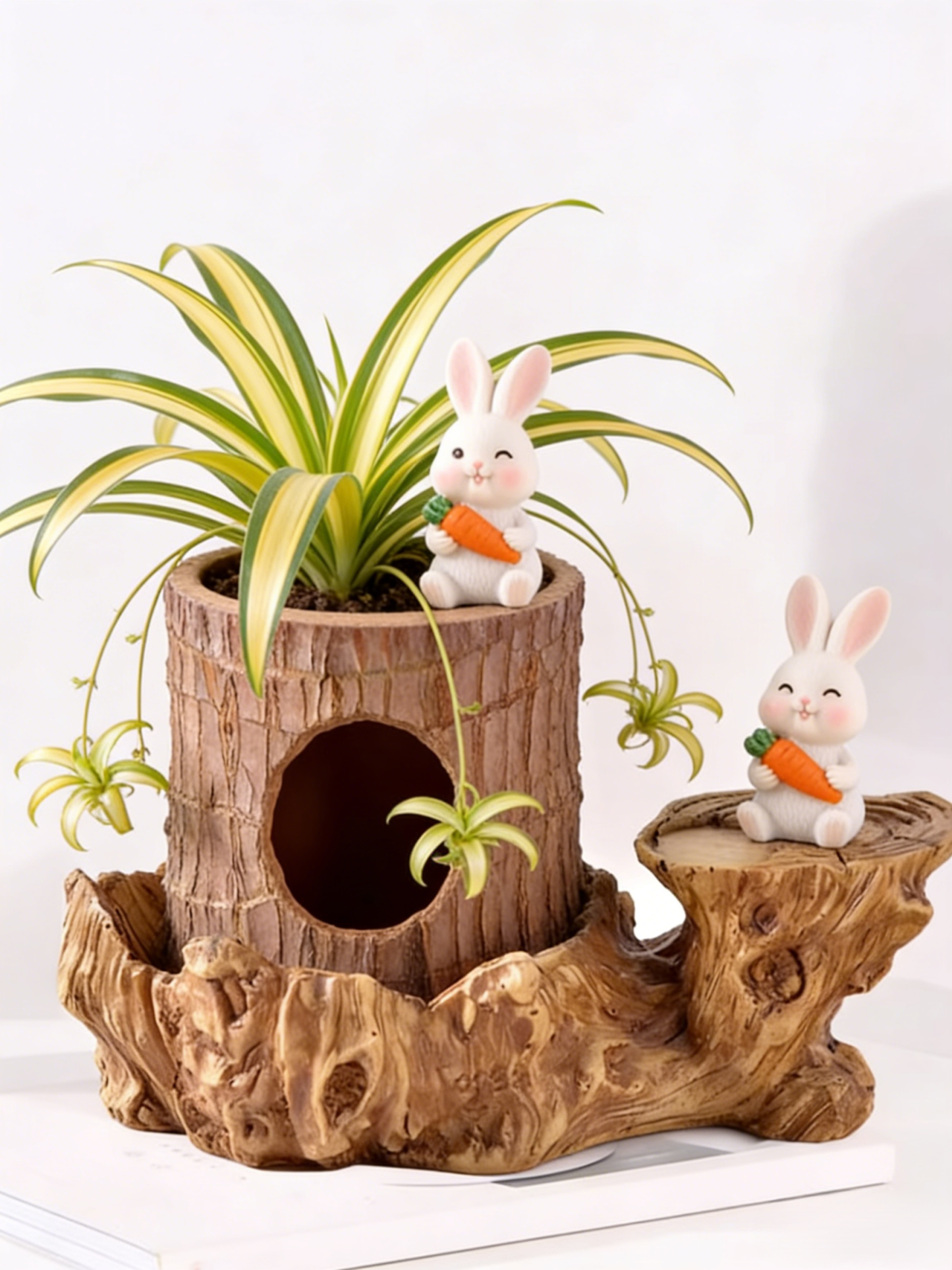 【Voda znamená život】Čtyřsezónní kvetoucí hydroponie brazilského šťastného dřeva