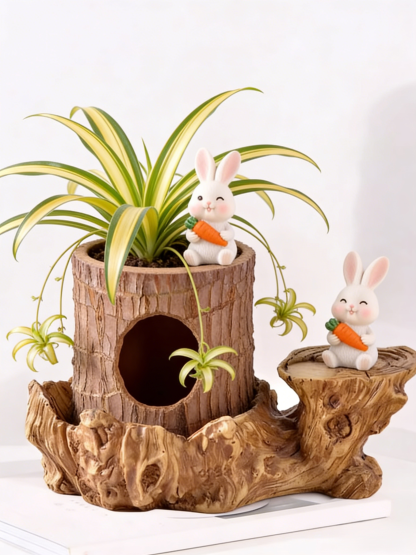 【Voda znamená život】Čtyřsezónní kvetoucí hydroponie brazilského šťastného dřeva