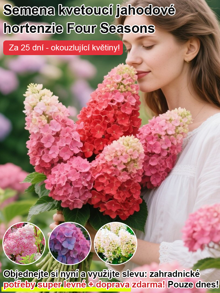 Hortenzie s jahodovými květy, čtyři roční období