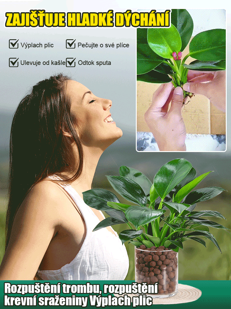 Objednejte podle množství objednávek.