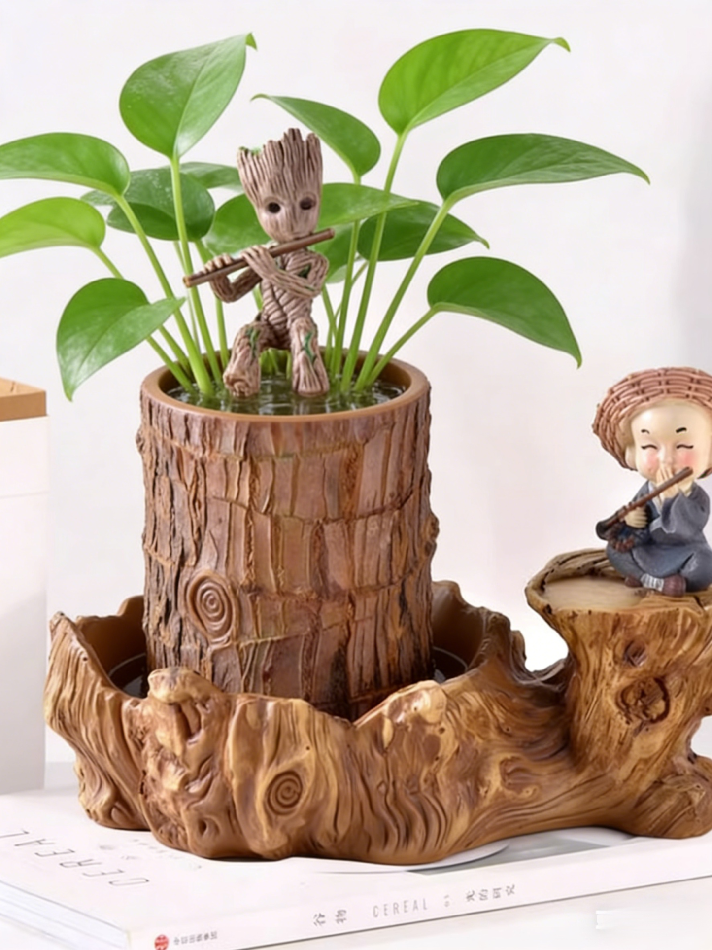 【Voda znamená život】Čtyřsezónní kvetoucí hydroponie brazilského šťastného dřeva