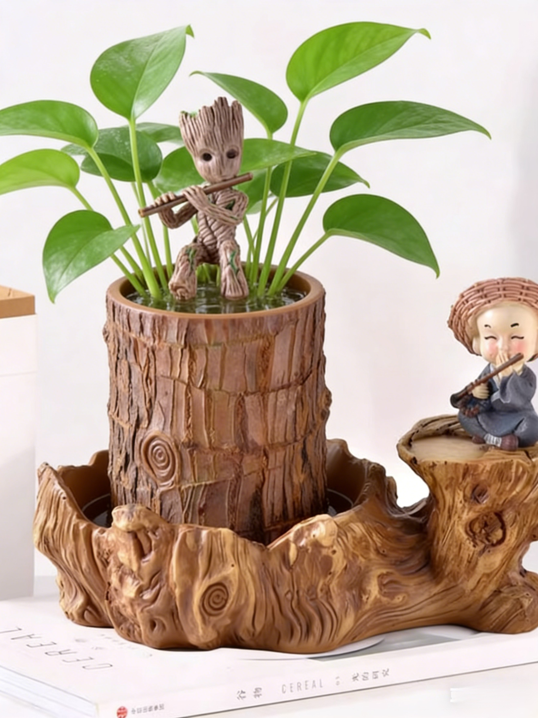 【Voda znamená život】Čtyřsezónní kvetoucí hydroponie brazilského šťastného dřeva