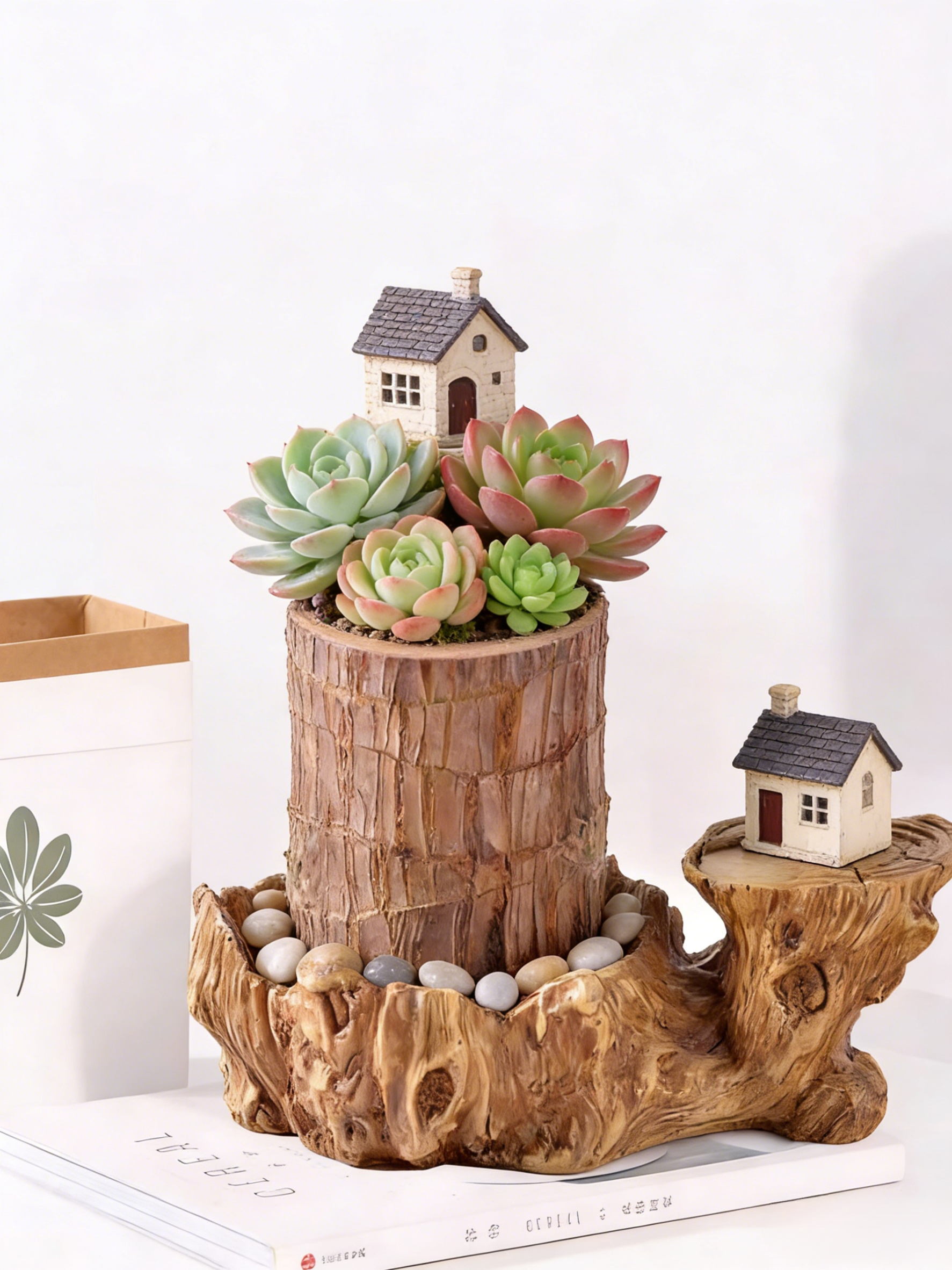 【Voda znamená život】Čtyřsezónní kvetoucí hydroponie brazilského šťastného dřeva