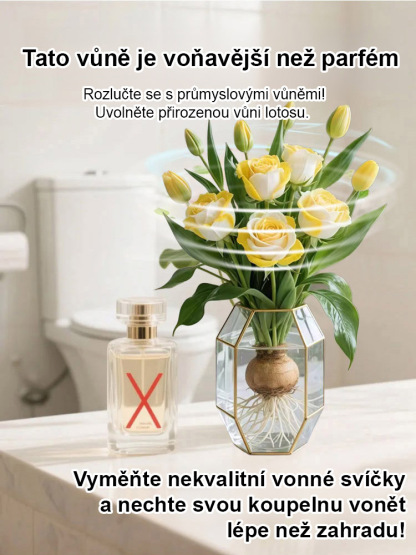 【300 dní kvetení】Silně vonící růže pro hydroponické pěstování
