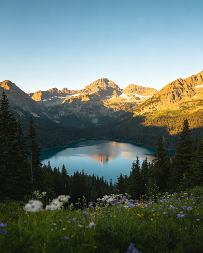 【Kuří oka a bradavice zmizí ve stejný den】Lékařská filmotvorná antibakteriální tekutina