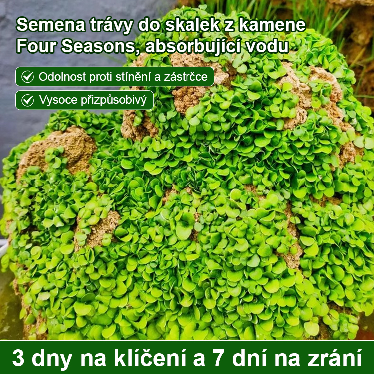 【Ultra rychlý růst】Celoroční absorpční kamenná bonsajová umělá horská travní semena