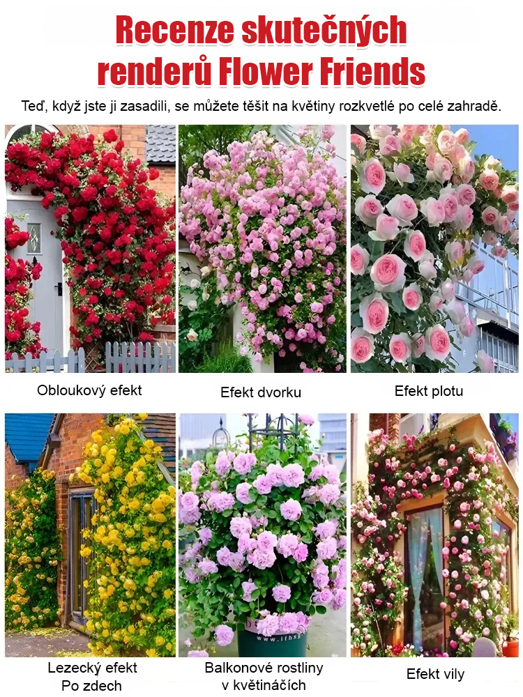 【Doručení hnojiva】balíček semen růží, které pokryjí celou zahradu, popínají zdi a dvůr.