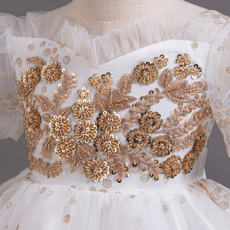 Mesh Irregular Craftsmanship Short Sleeve Long Dresses - image 6