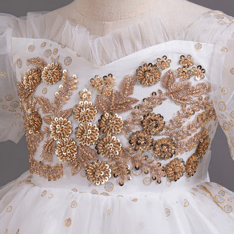 Mesh Irregular Craftsmanship Short Sleeve Long Dresses - image 6