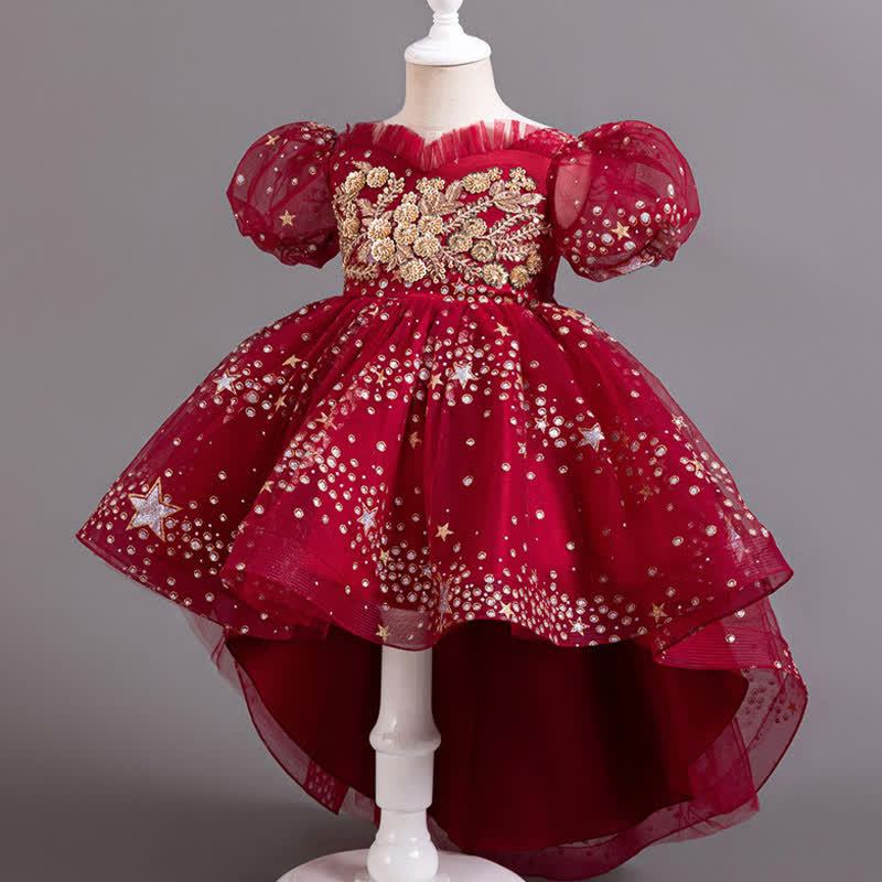 Mesh Irregular Craftsmanship Short Sleeve Long Dresses - image 11