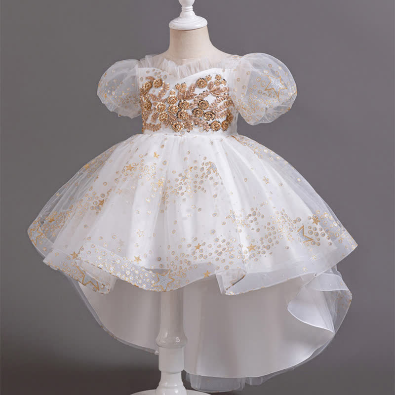 Mesh Irregular Craftsmanship Short Sleeve Long Dresses - image 4