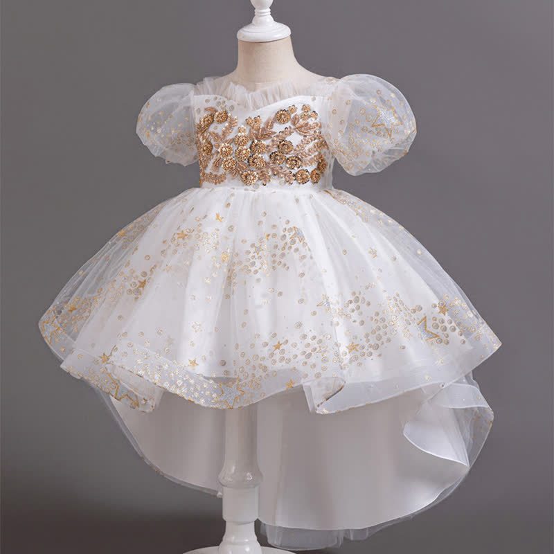 Mesh Irregular Craftsmanship Short Sleeve Long Dresses - image 4