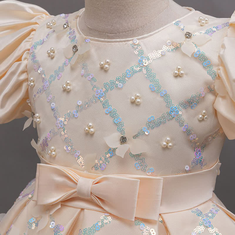 [Archive Sale] Mesh Rosette Folds Sequins Short Sleeve Maxi Dresses - image 4