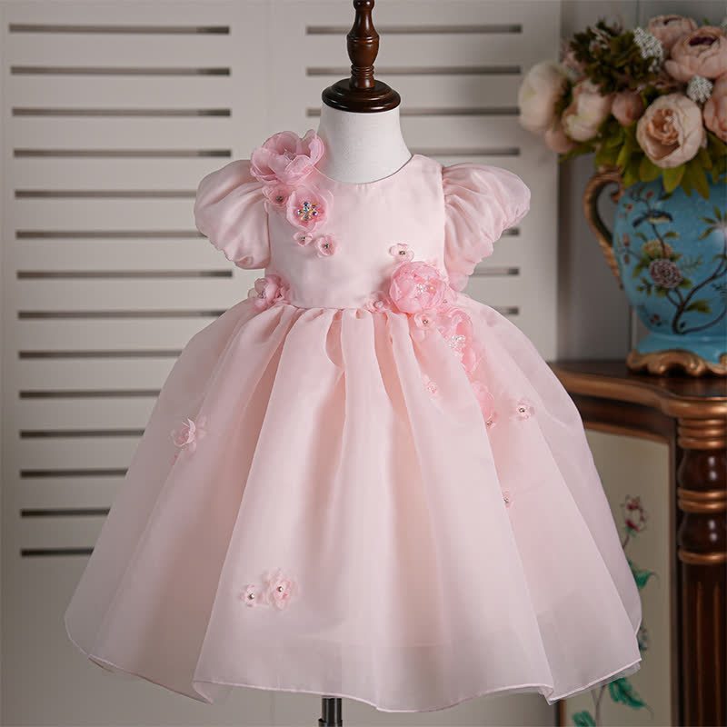 Organza Rosette Short Sleeve Mid-long Dresses - Pink - 12-14Y - image 1