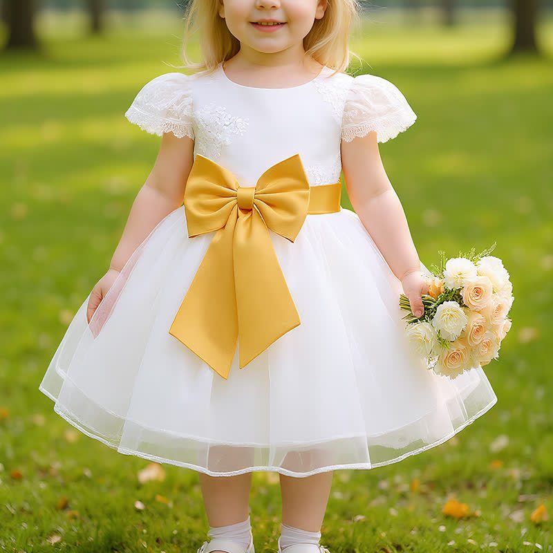 Embroidery Mesh Bow Short Sleeve Shorts Dresses - image 2