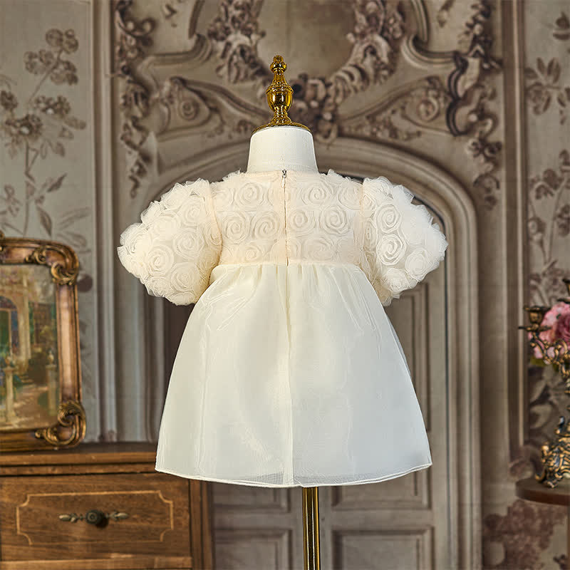 Organza Rosette Short Sleeve Midi Dresses - image 3