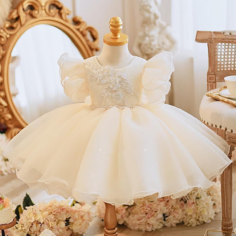 Organza Applique Short Sleeves Midi Dresses - Champagne - 5-6Y - image 1