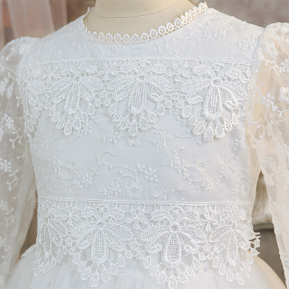 Mesh Applique Long Sleeve Maxi Dresses - image 5