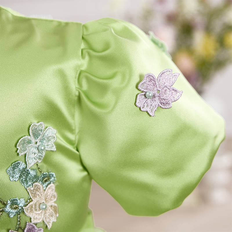 Mesh Rosette Folds Short Sleeves Mid-long Dresses - image 6