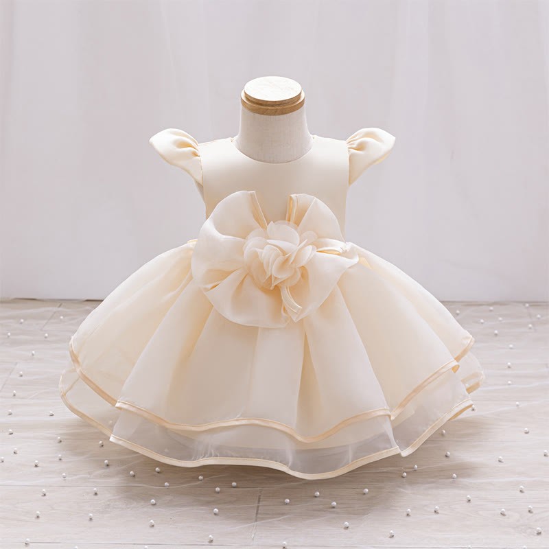 Organza Rosette Cap Sleeve Midi Dresses - Champagne - 5-6Y - image 14