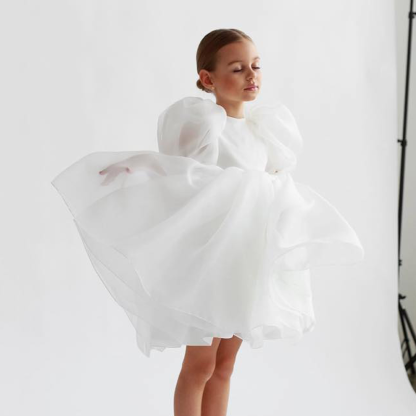 Organza Backless Short Sleeve Midi Dresses - image 3