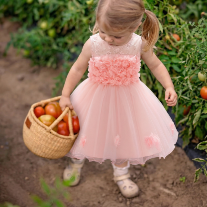 Mesh Rosette Sleeveless Midi Dresses - Pink - 1-2Y - image 2
