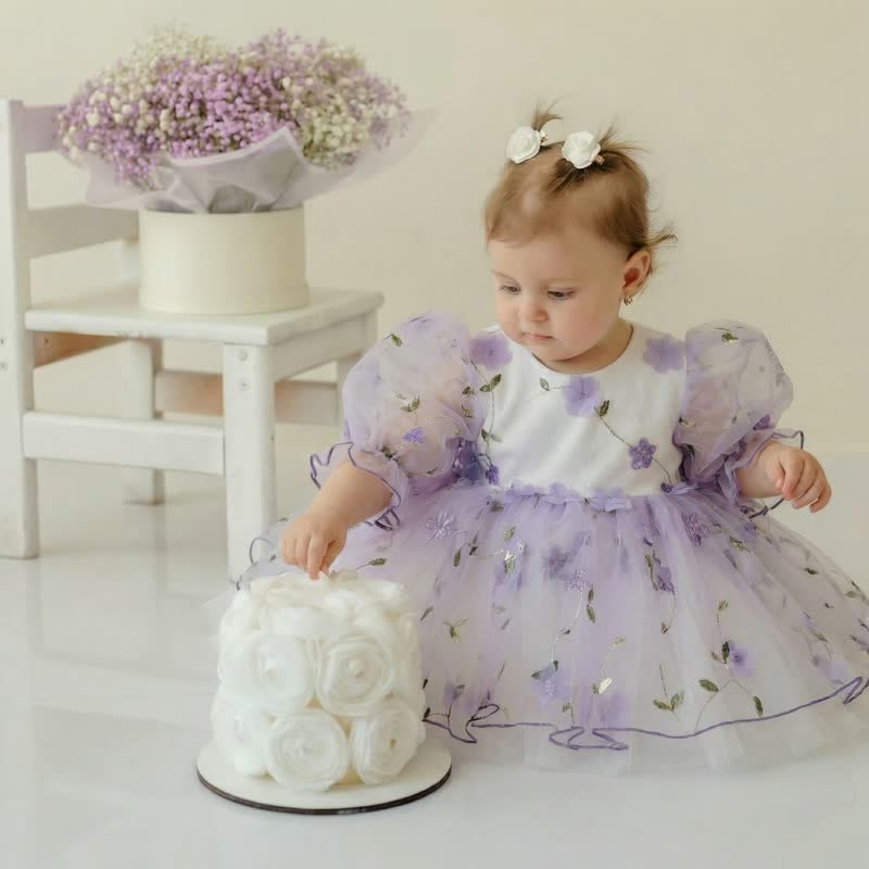 Mesh Rosette Embroidery Short Sleeve Short Dresses - image 2