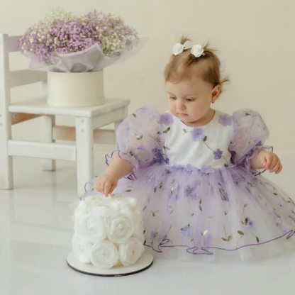 Mesh Rosette Embroidery Short Sleeve Short Dresses - image 2