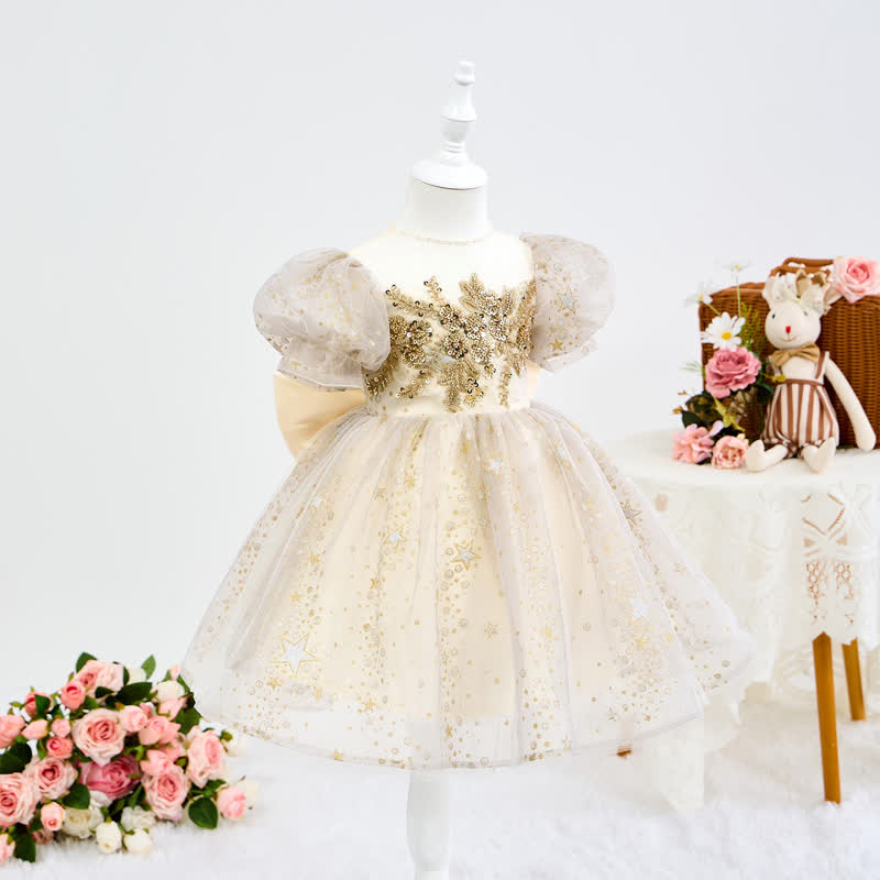 Mesh Embroidery Short Sleeve Short Dresses - image 3