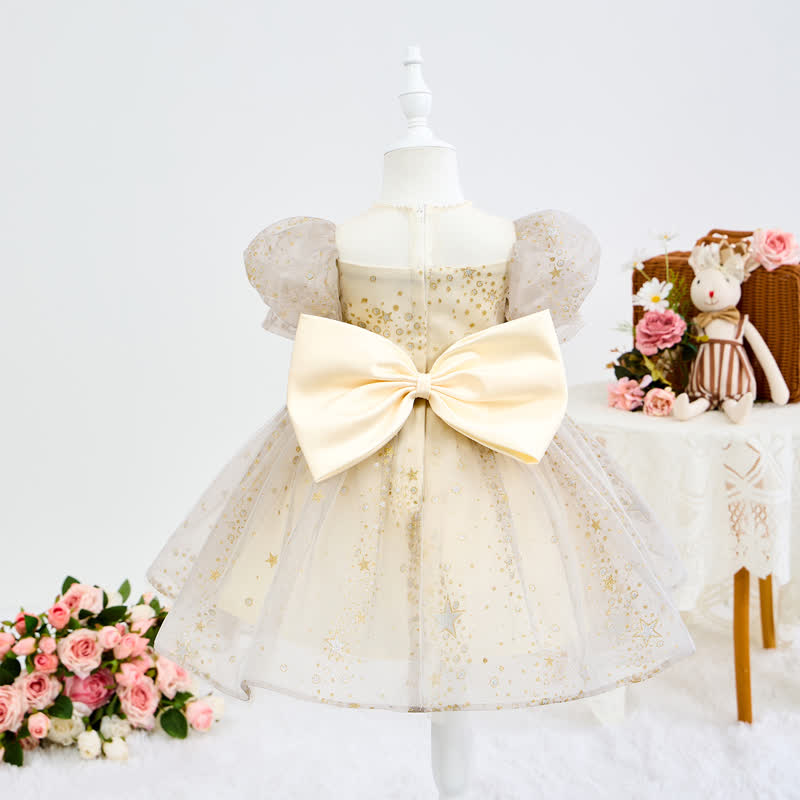 Mesh Embroidery Short Sleeve Short Dresses - image 4