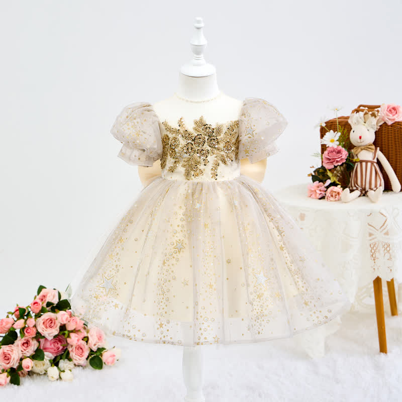 Mesh Embroidery Short Sleeve Short Dresses - image 2