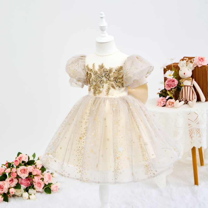 Mesh Embroidery Short Sleeve Short Dresses - Golden - 13-14Y - image 1