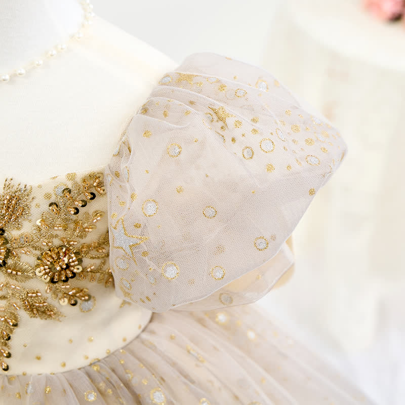 Mesh Embroidery Short Sleeve Short Dresses - image 9