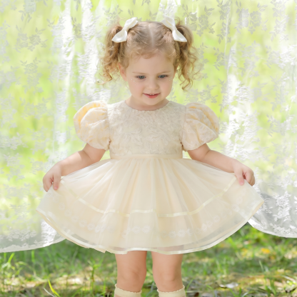 Mesh Embroidery Short Sleeve Short Dresses - image 2
