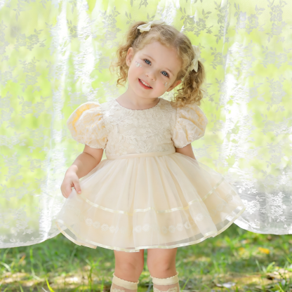 Mesh Embroidery Short Sleeve Short Dresses - image 4
