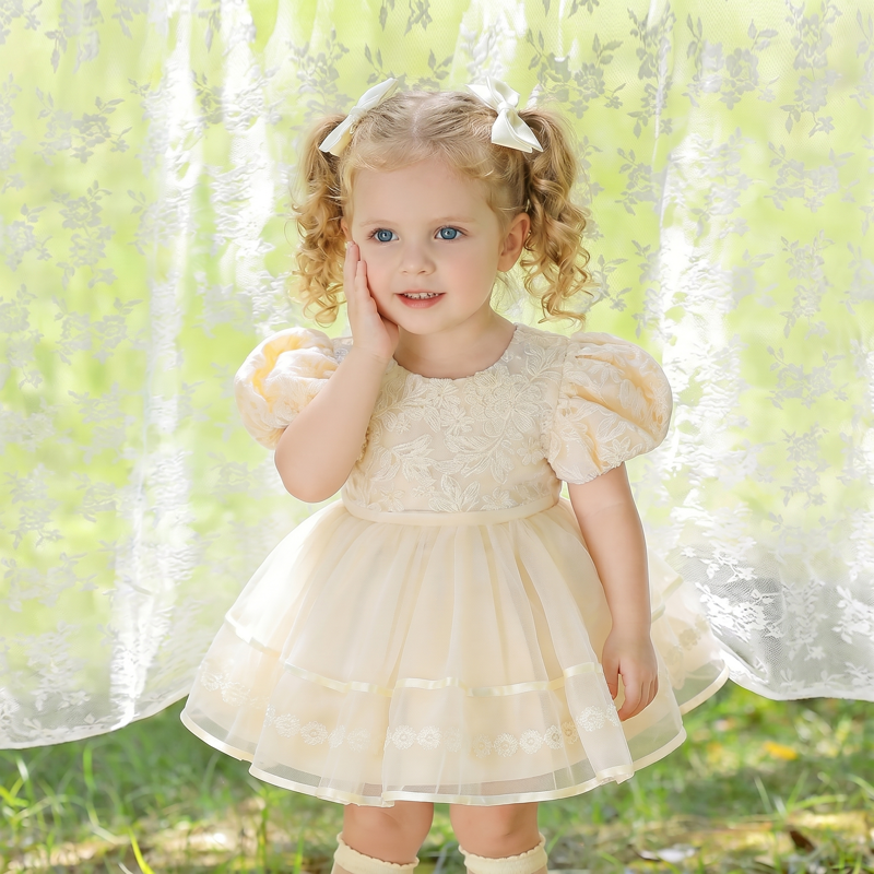 Mesh Embroidery Short Sleeve Short Dresses - image 3