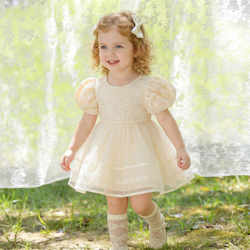 Mesh Embroidery Short Sleeve Short Dresses - Champagne  - 2-3Y - image 1