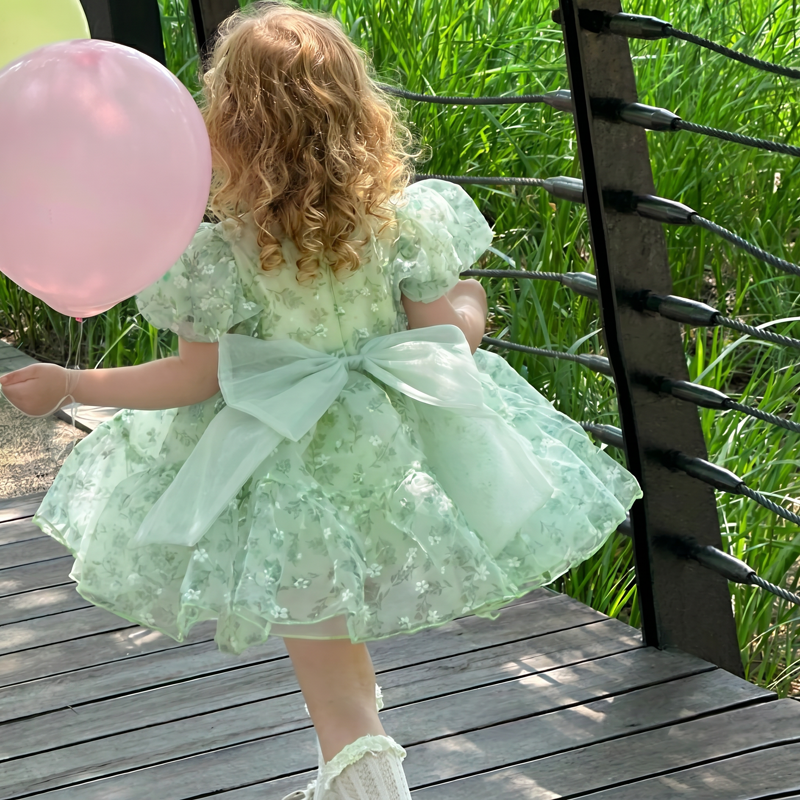 Organza Printing Short Sleeve Short Dresses - image 4
