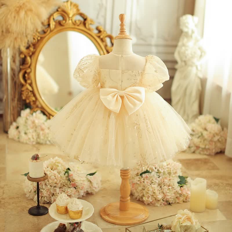 Organza Binding Short Sleeve Midi Dresses - image 2