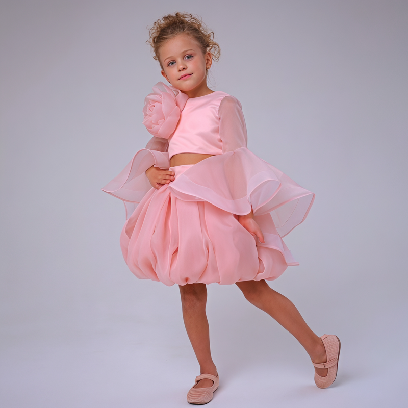 Organza Rosette Long Sleeve Short Two-piece Set - image 4