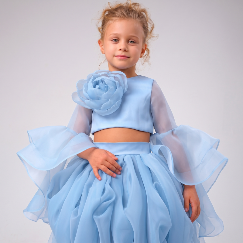 Organza Rosette Long Sleeve Short Two-piece Set - image 14