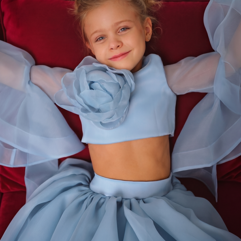 Organza Rosette Long Sleeve Short Two-piece Set - image 13