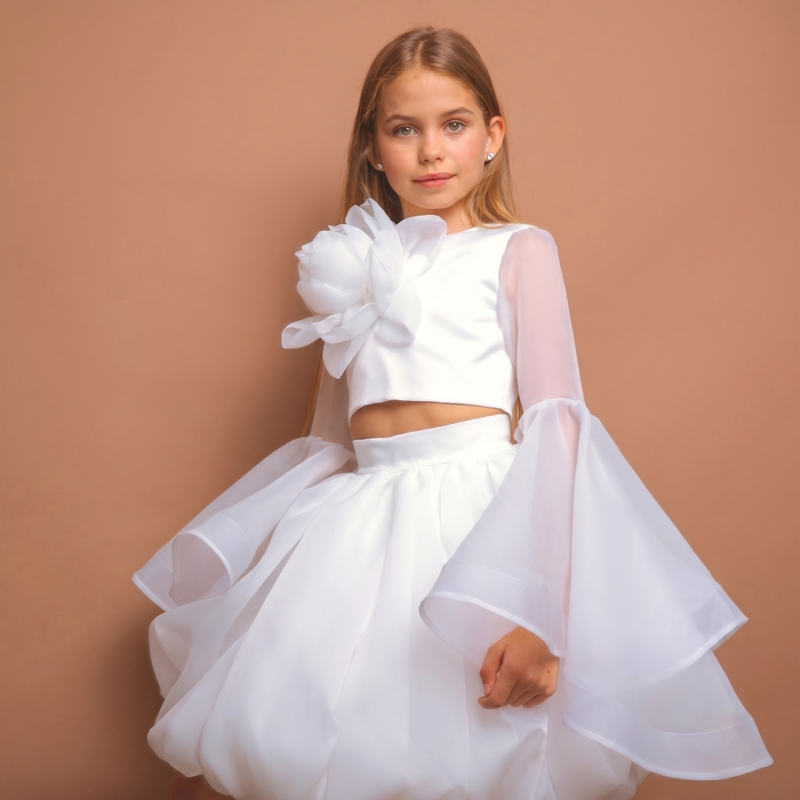 Organza Rosette Long Sleeve Short Two-piece Set - image 9