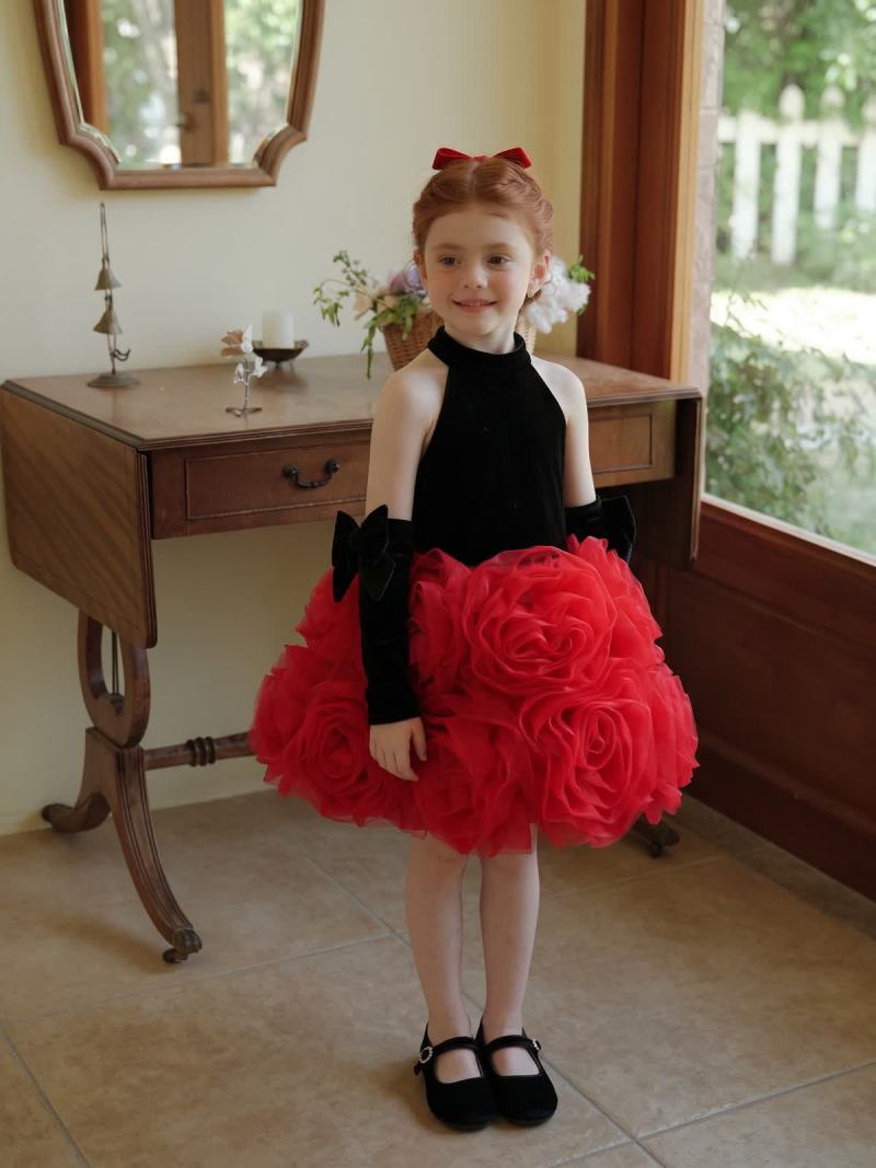Velvet & Mesh Rosette  Bow Sleeveless Short Dresses - image 2