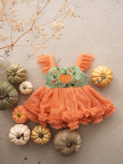 Mesh Embroidery Cap Sleeve Short Dresses - image 3