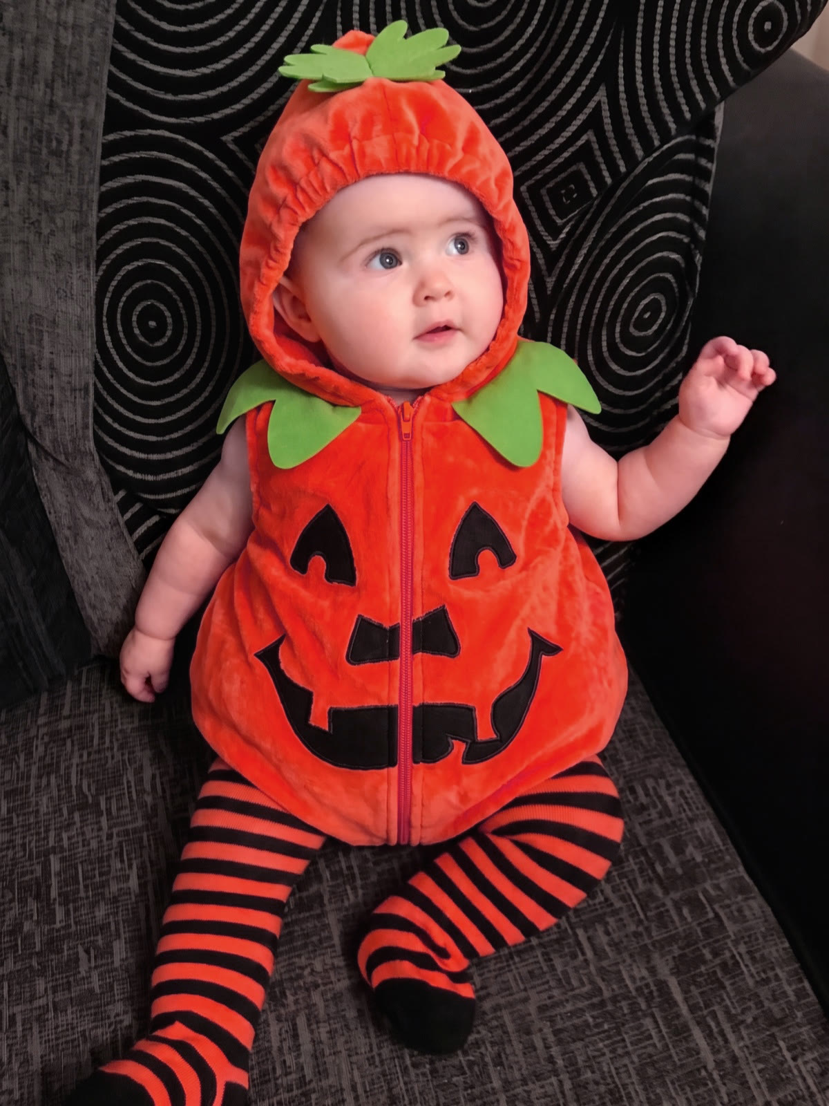 Pleuche Zipper Long Sleeve Short Bodysuit - image 3