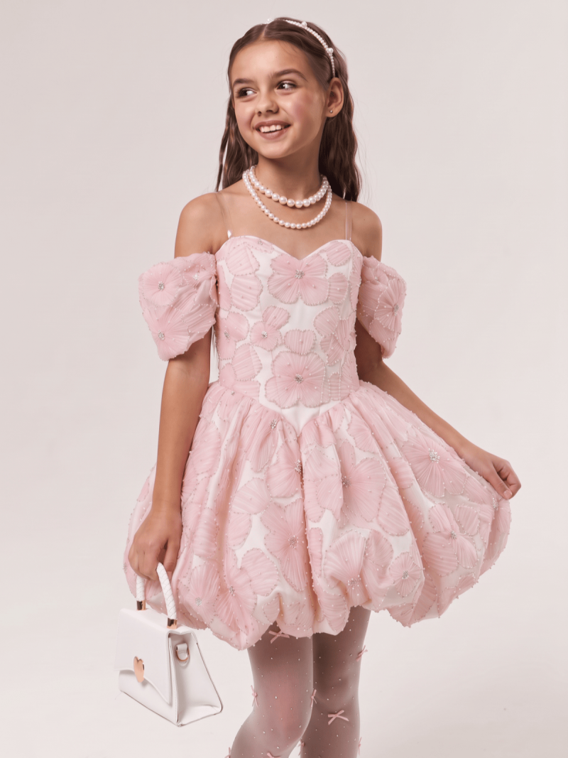 Embroidery Mesh Zipper Short Sleeve Short Dresses - image 2
