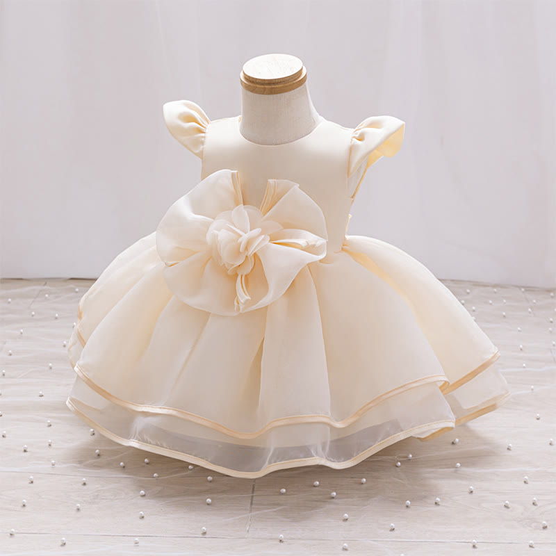 Organza Rosette Cap Sleeve Midi Dresses - image 16