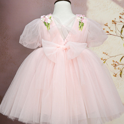 Mesh Rosette Short Sleeve Short Dresses - image 3